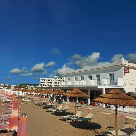 Diomedee On The Hotel *